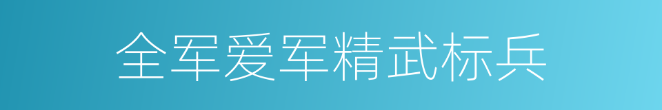 全军爱军精武标兵的同义词