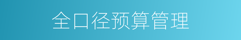 全口径预算管理的同义词