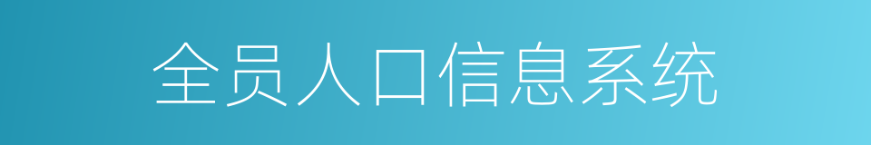 全员人口信息系统的同义词