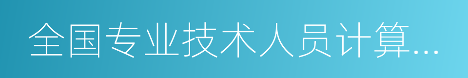 全国专业技术人员计算机应用能力的同义词