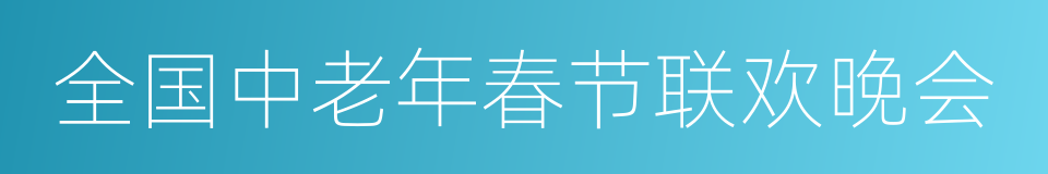 全国中老年春节联欢晚会的同义词