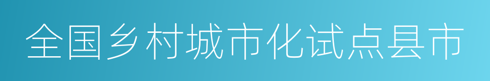 全国乡村城市化试点县市的同义词