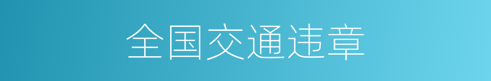 全国交通违章的同义词