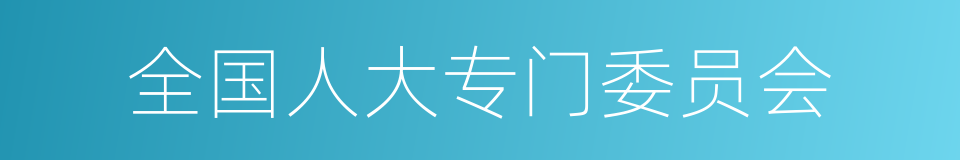 全国人大专门委员会的同义词