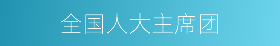 全国人大主席团的同义词