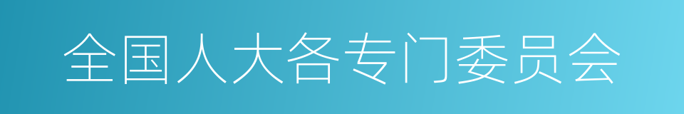 全国人大各专门委员会的同义词