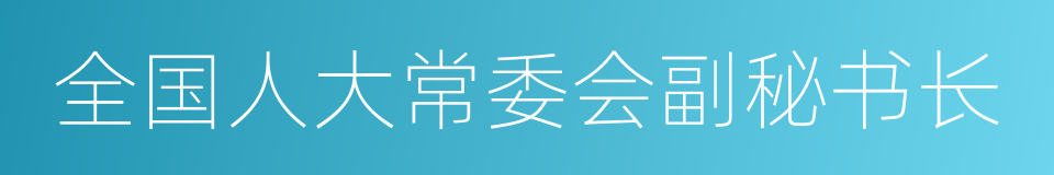 全国人大常委会副秘书长的同义词