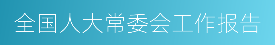 全国人大常委会工作报告的同义词