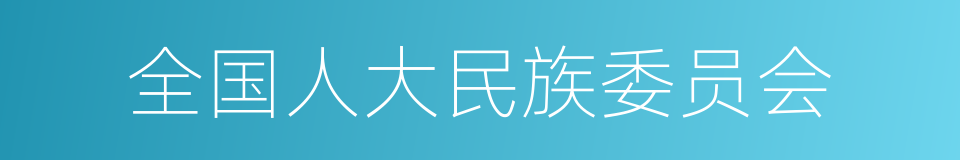 全国人大民族委员会的同义词