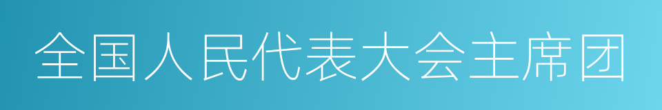 全国人民代表大会主席团的同义词