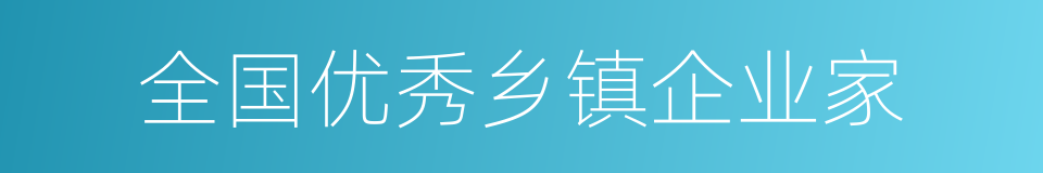 全国优秀乡镇企业家的同义词