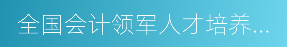 全国会计领军人才培养工程发展规划的同义词