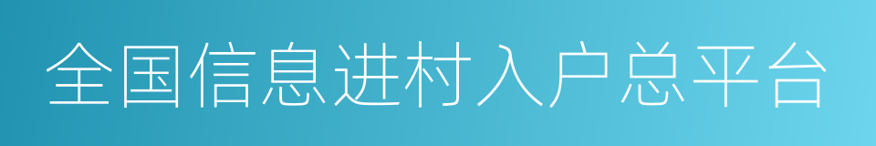 全国信息进村入户总平台的同义词