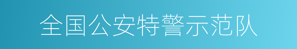 全国公安特警示范队的同义词