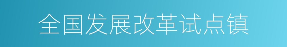 全国发展改革试点镇的同义词