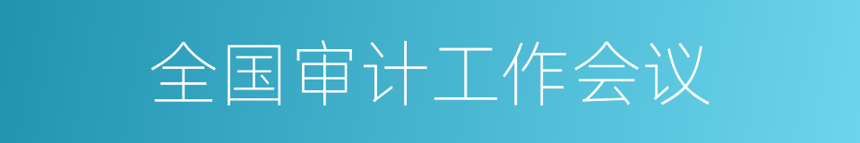 全国审计工作会议的同义词