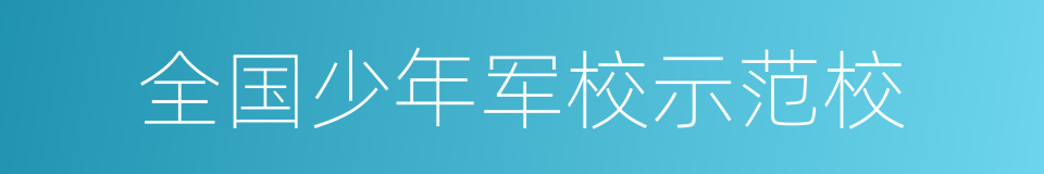 全国少年军校示范校的同义词