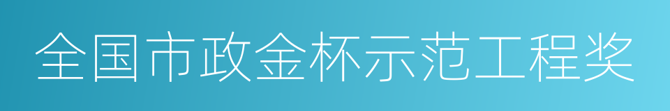 全国市政金杯示范工程奖的同义词