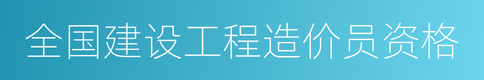 全国建设工程造价员资格的同义词