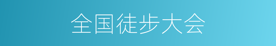全国徒步大会的同义词