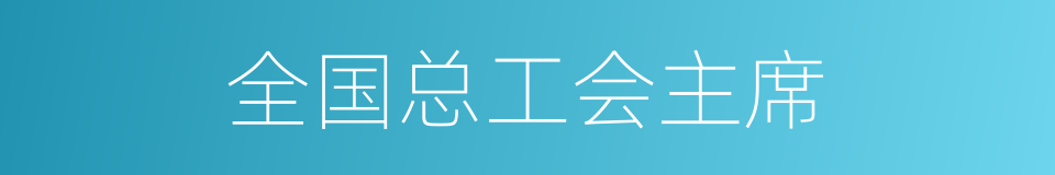 全国总工会主席的同义词