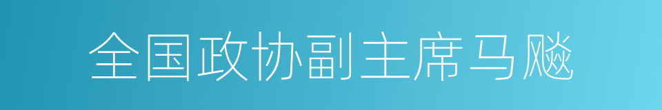 全国政协副主席马飚的同义词