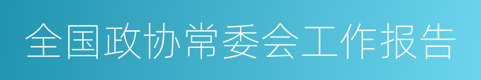 全国政协常委会工作报告的同义词