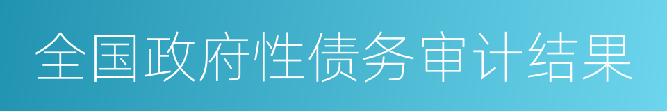 全国政府性债务审计结果的同义词