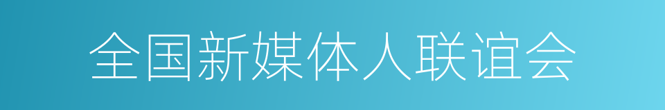 全国新媒体人联谊会的同义词