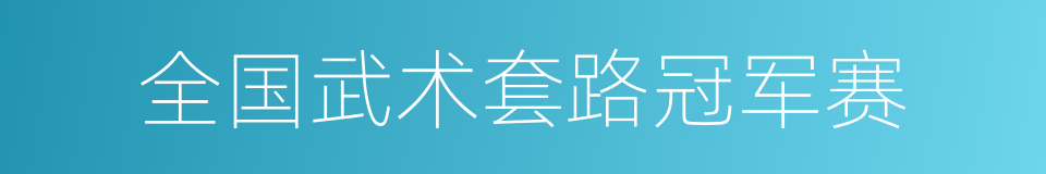 全国武术套路冠军赛的同义词