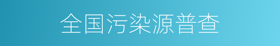 全国污染源普查的同义词