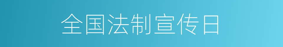 全国法制宣传日的同义词