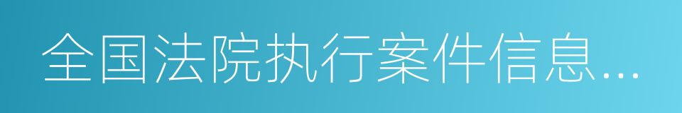 全国法院执行案件信息管理系统的同义词