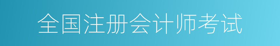 全国注册会计师考试的同义词