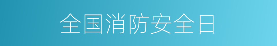 全国消防安全日的同义词