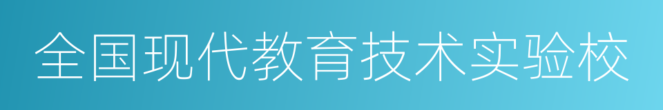 全国现代教育技术实验校的同义词