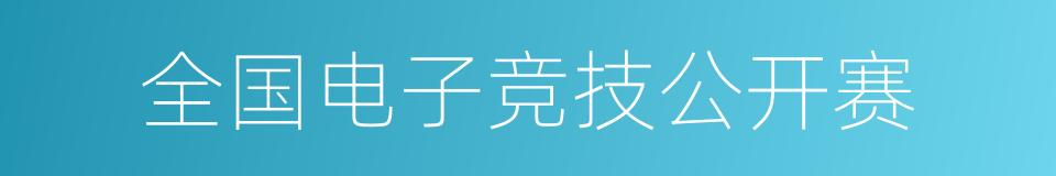 全国电子竞技公开赛的同义词