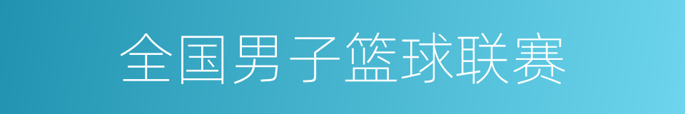 全国男子篮球联赛的同义词