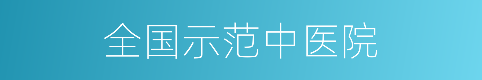 全国示范中医院的同义词