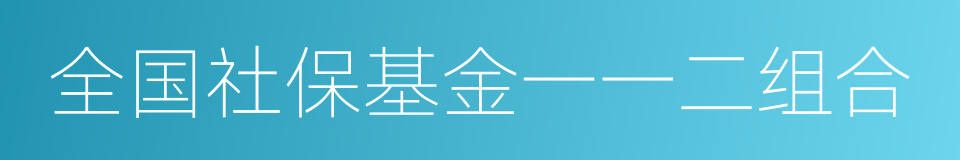 全国社保基金一一二组合的同义词