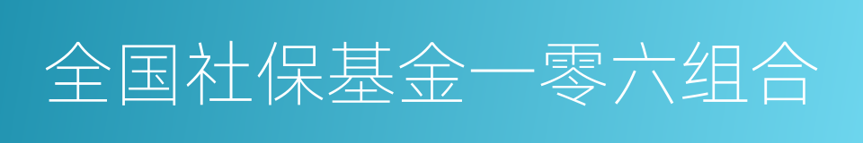 全国社保基金一零六组合的同义词