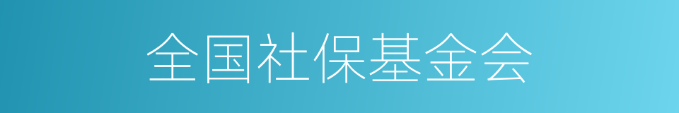全国社保基金会的同义词