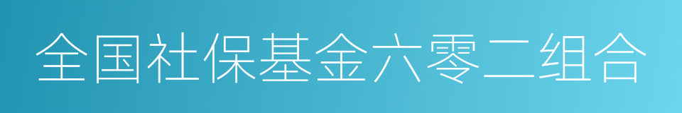 全国社保基金六零二组合的同义词