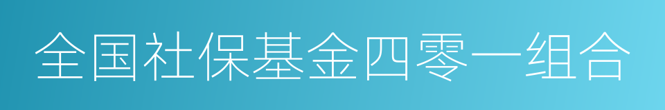 全国社保基金四零一组合的同义词