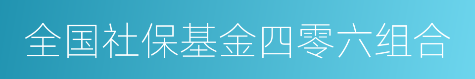 全国社保基金四零六组合的同义词