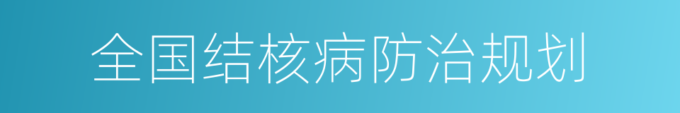 全国结核病防治规划的同义词