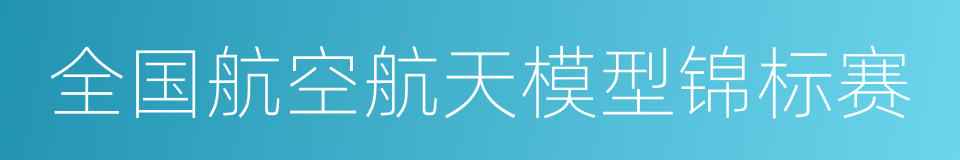 全国航空航天模型锦标赛的同义词