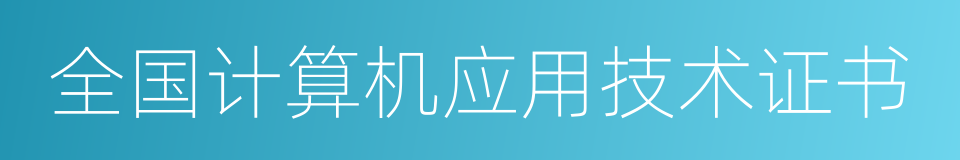 全国计算机应用技术证书的同义词