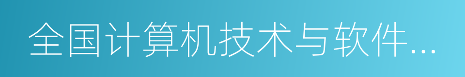 全国计算机技术与软件专业技术资格考试的同义词