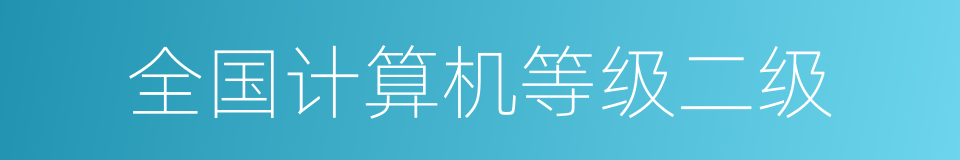 全国计算机等级二级的同义词